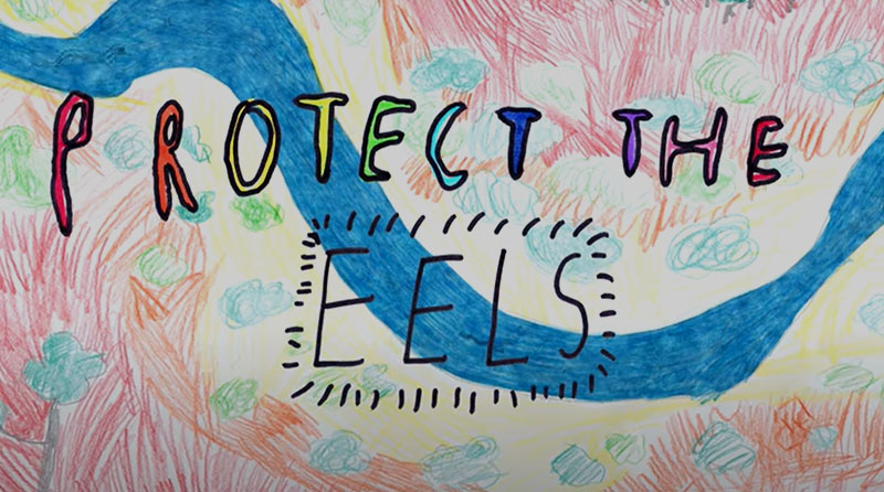 Protect the eeles video project thumbnail