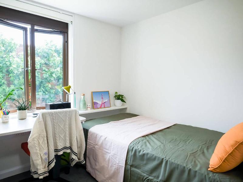 A comfortable and cosy student bedroom with a window looking out onto green spaces