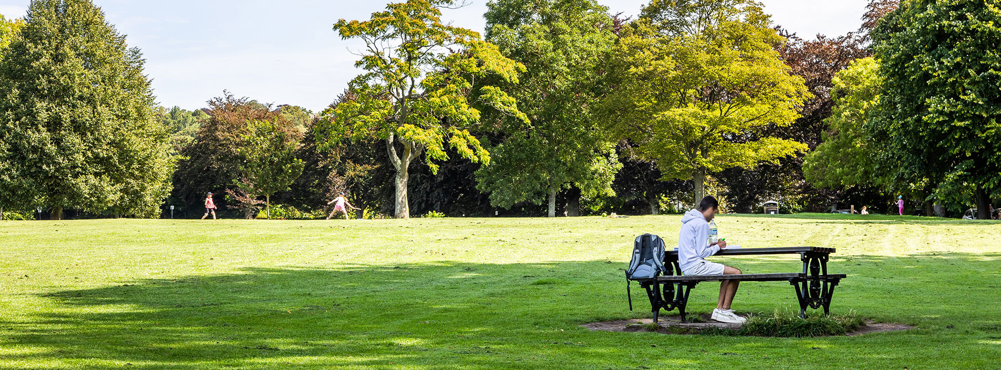 Student studying at a picnic table in Victoria Park with mature trees in the background