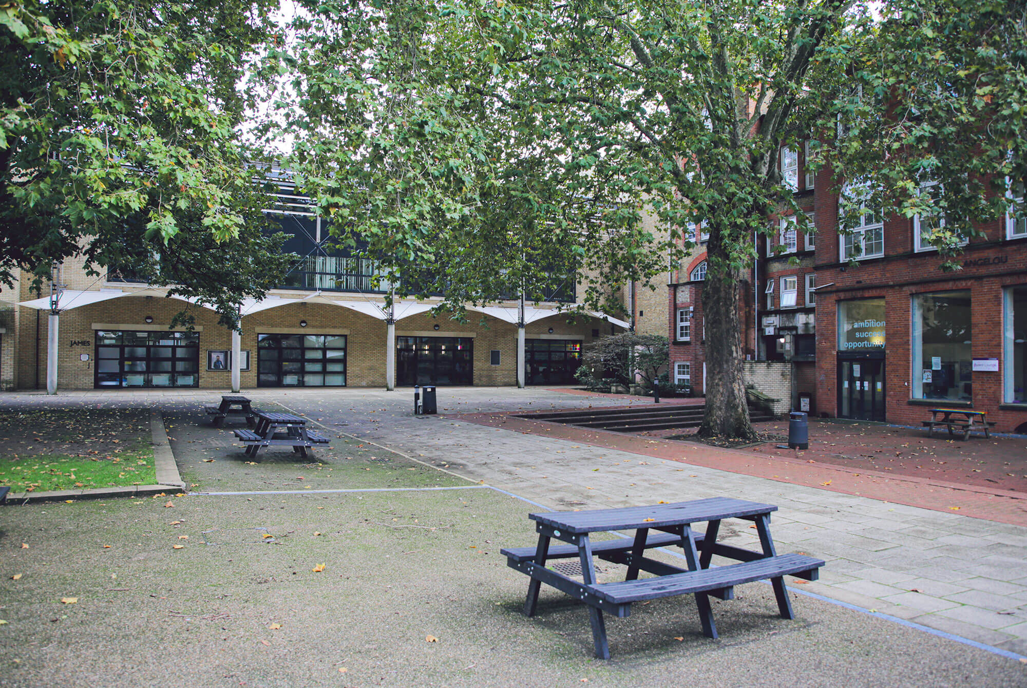 Outdoor courtyard with picnic benches and leafy trees