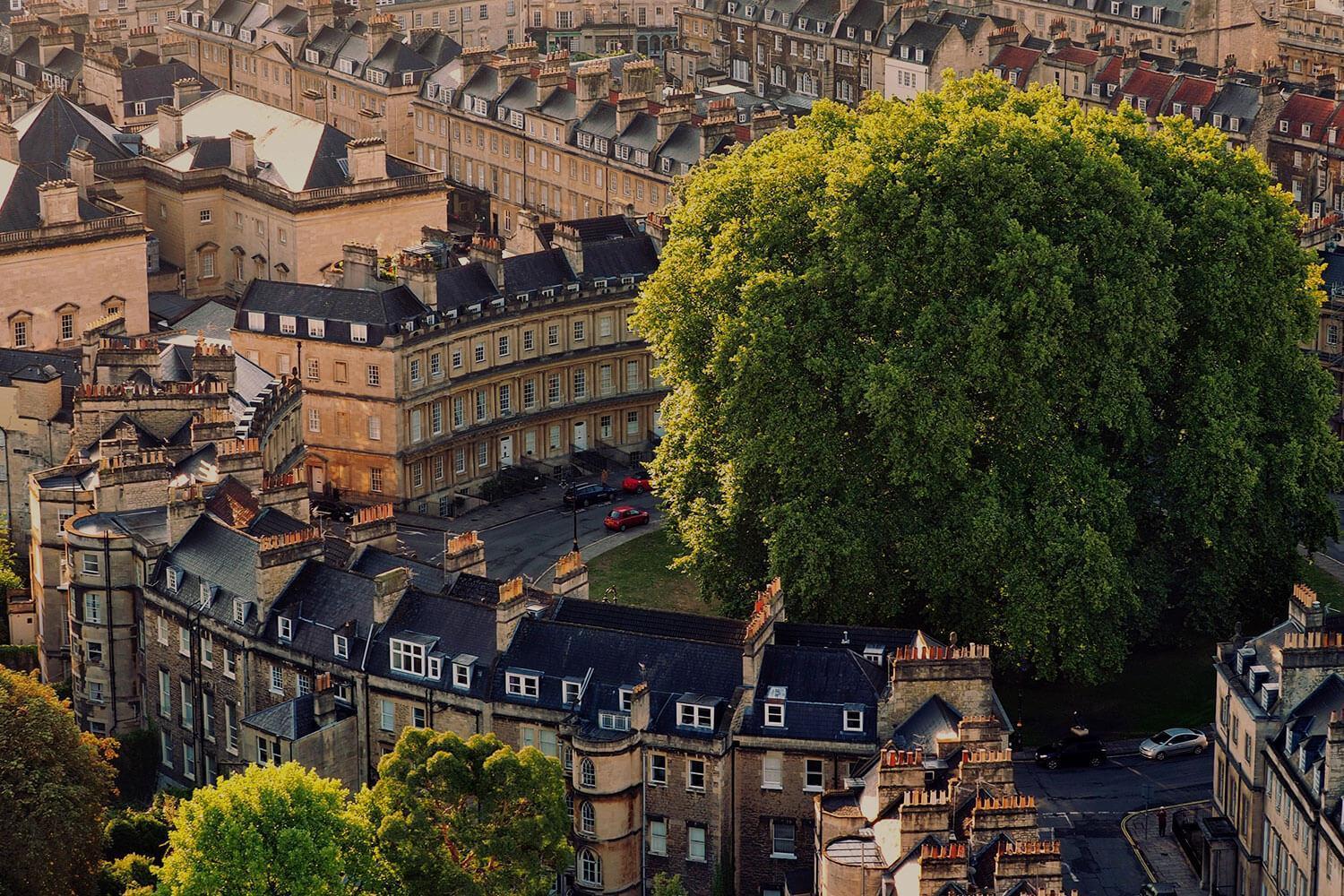 Bath city centre from above, showing a large tree