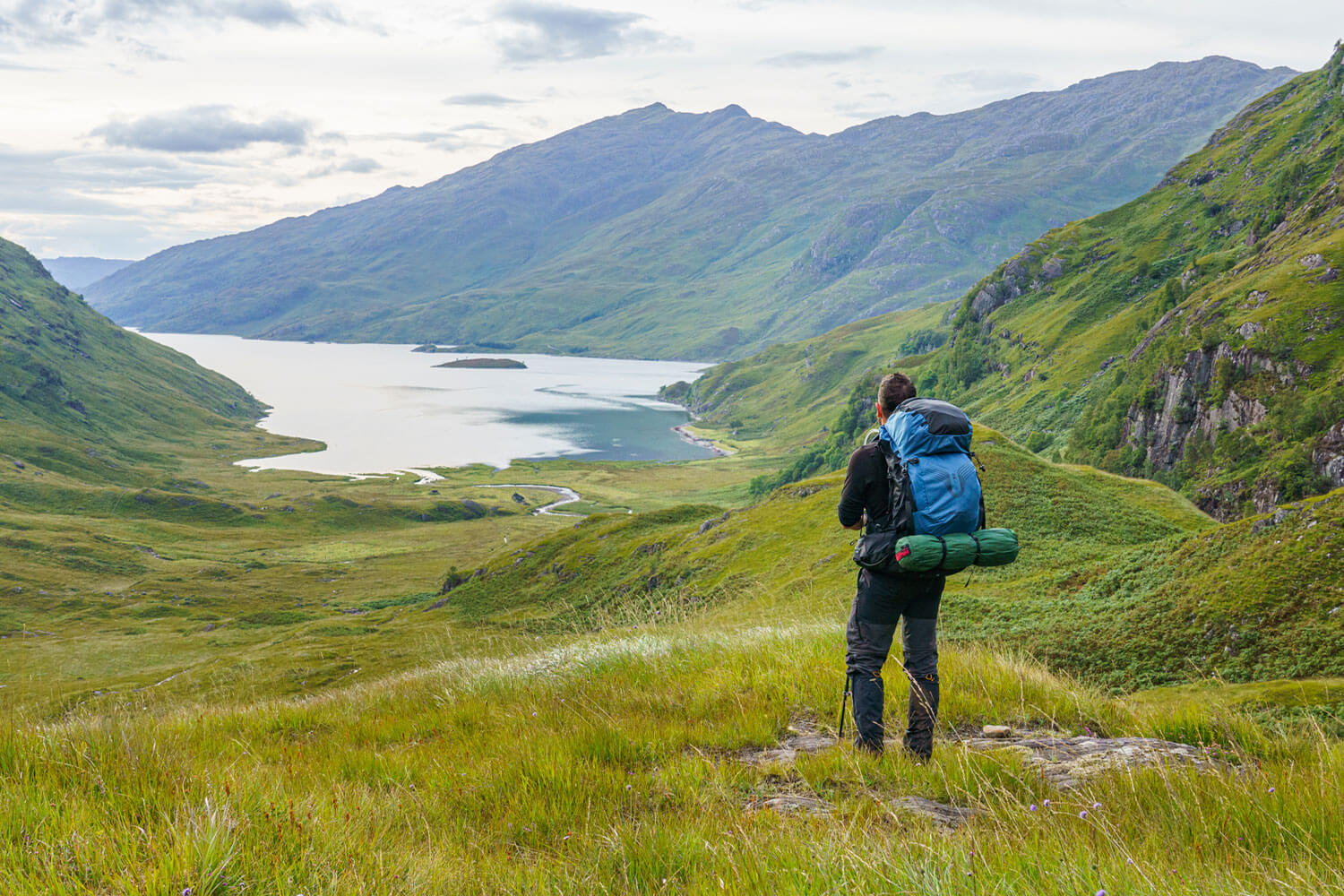 A hiker walks through a patch of grass with a mountain ahead of him