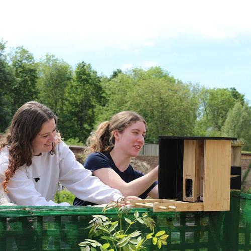 Students setting up a bird feeder camera on campus