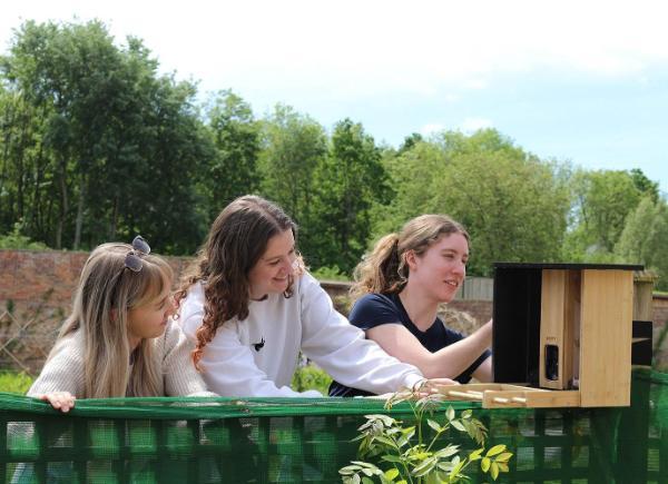 Students setting up a bird feeder camera on campus