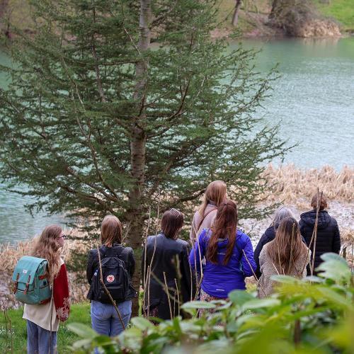 A group of people gathered around a conifer tree by the lake