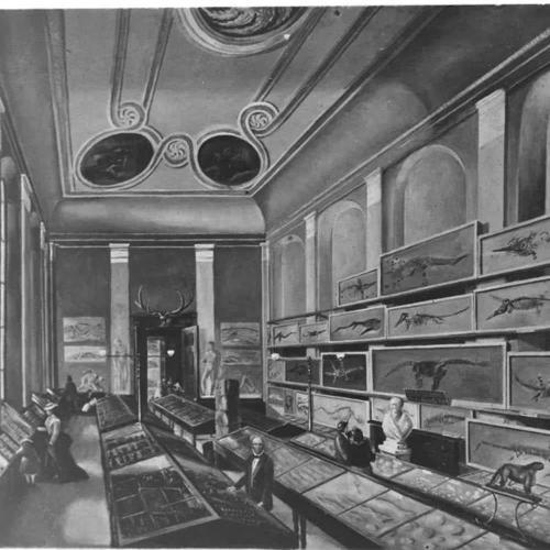 Black and white illustration of the BRLSI museum circa 1865 with various exhibits on display