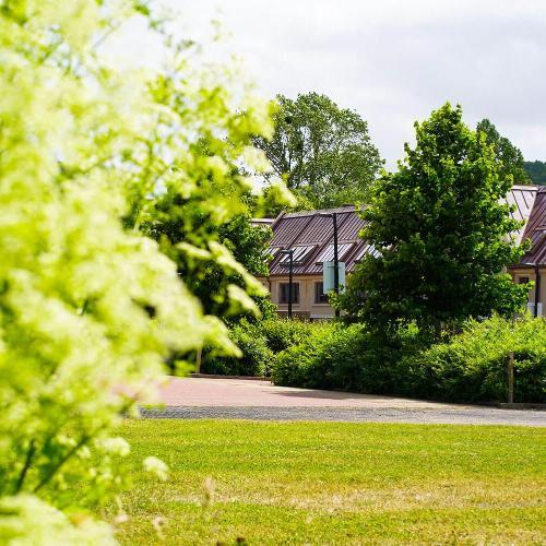 Bath Spa University Gardens accommodation peeking through a row of green hedges and trees