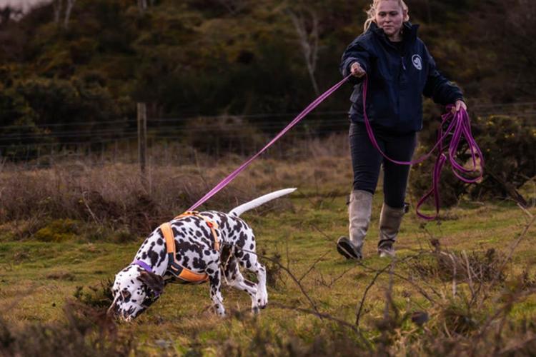 Natasha walking through a field with her dog on a lead