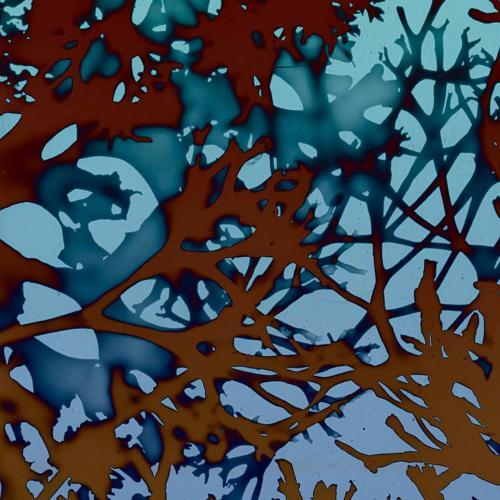 Abstract reddish shapes that resemble tree branches over a light blue background