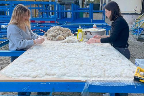 Two students cleaning and carding wool on a large table