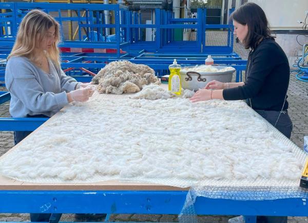 Two students cleaning and carding wool on a large table