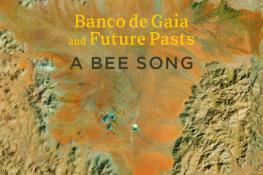 A aerial image of a part of Namibia in south Africa, this is overlayed with the words 'Banco de Gaia and Future Pasts, A Bee Song'