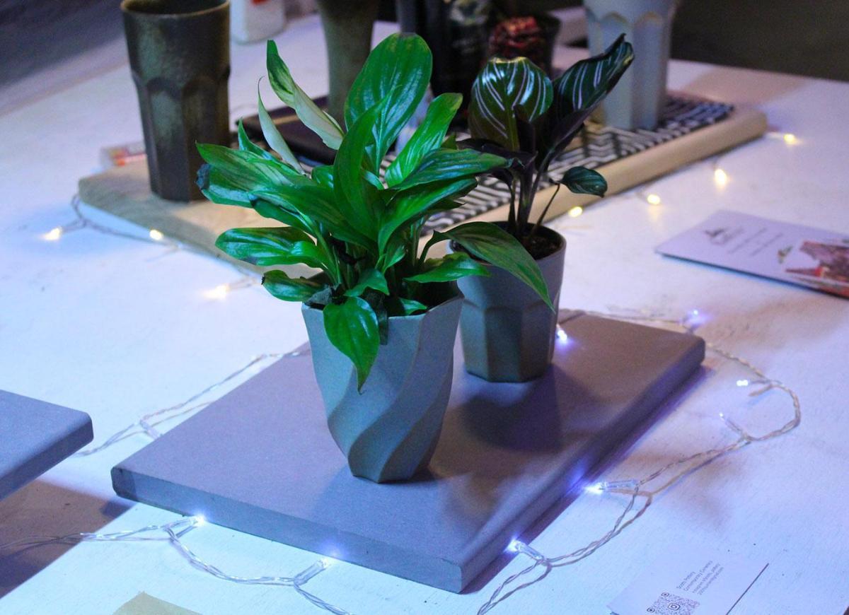 on a stall at an outdoor market, ceramic pots are on display with plants in them.