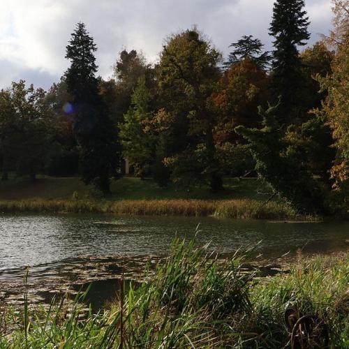 Photo of a lake with trees in the background