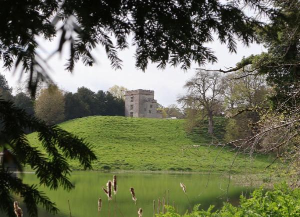 A castle sat atop a hill, shown through cracks in a tree