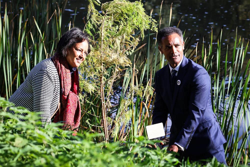 Two people stood by a lake in the sunshine, one holding a commemorative plaque in front a newly-planted tree