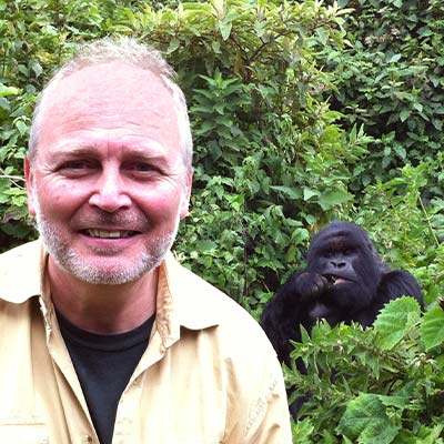 Person with short hair and beard in yellow shirt. Lowland gorilla in the background